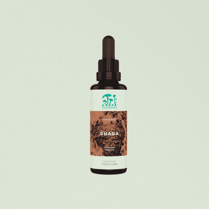 Bio Chaga Tinktur – Kraftvoll durch den Tag