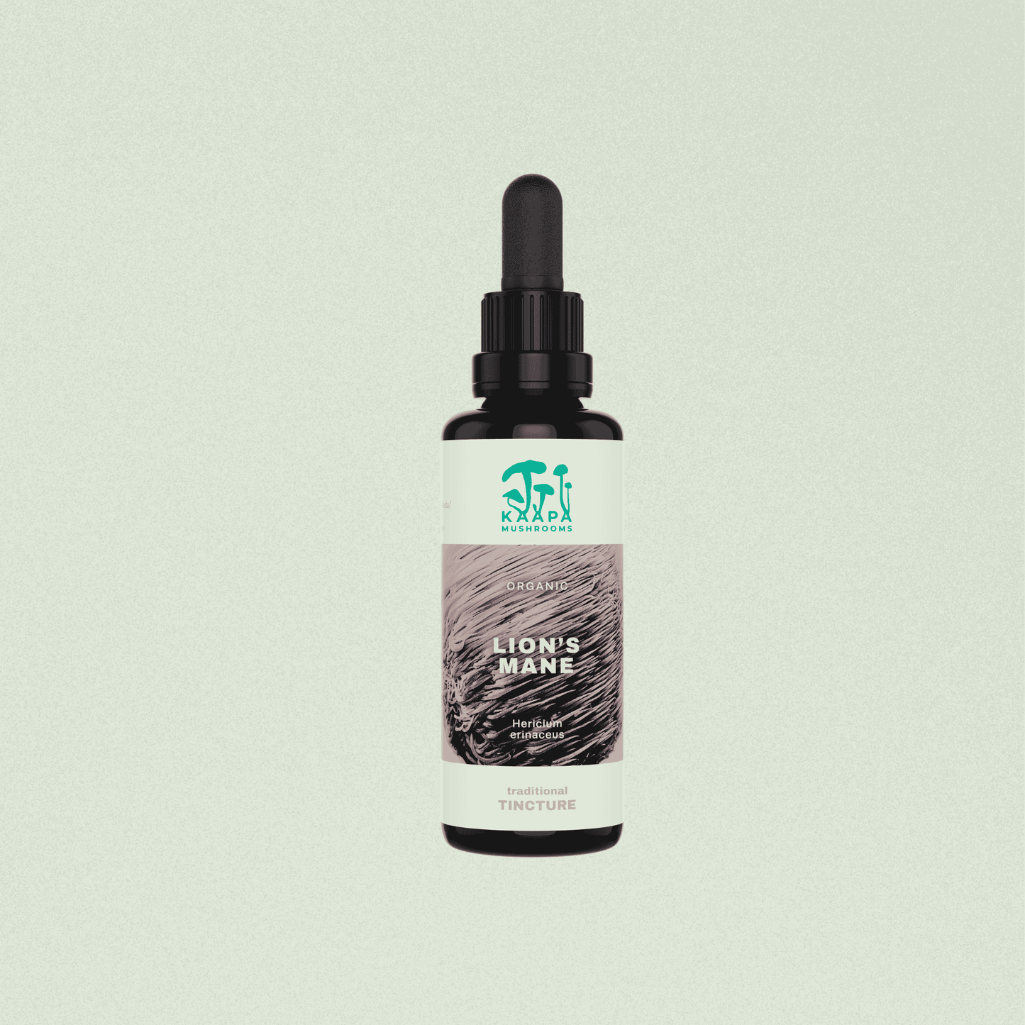 Bio Hericium Tinktur – Klarheit & Fokus für deinen Alltag