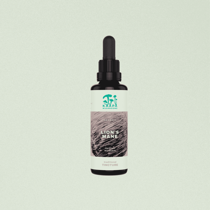 Bio Hericium Tinktur – Klarheit & Fokus für deinen Alltag