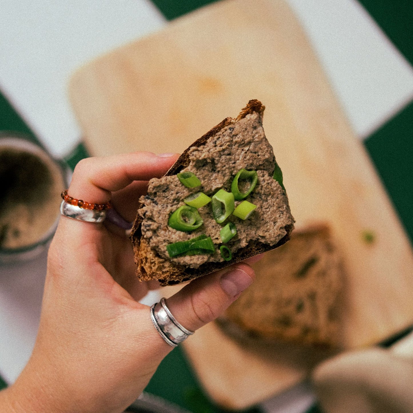 Fungi Feeds Pilz Pate 4