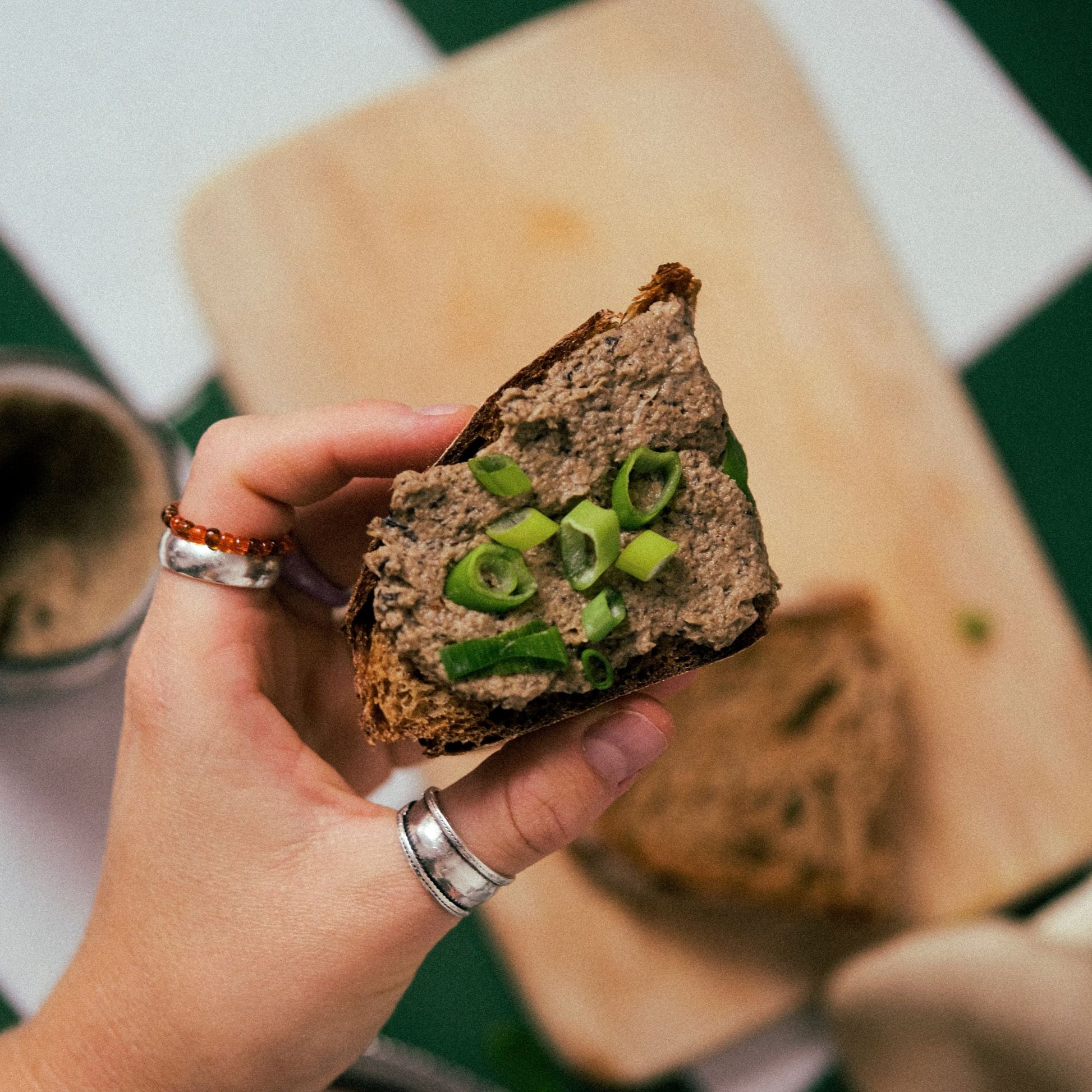 Fungi Feeds Pilz Pate 4