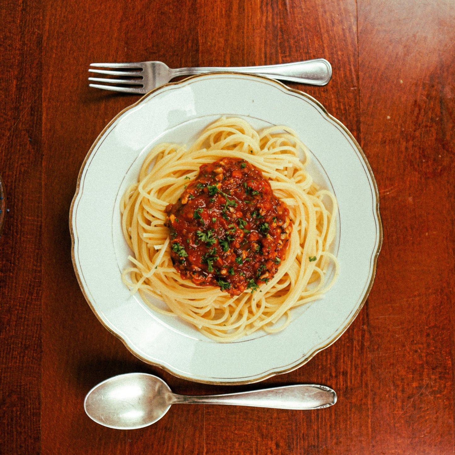 Fungi Feeds Shiitake Bolo 3