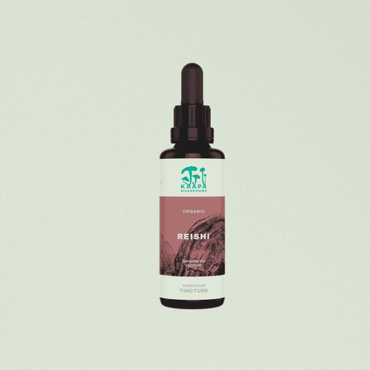 Bio Reishi Tinktur – Balance in jedem Tropfen