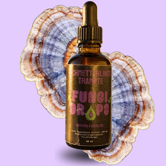 SCHMETTERLINGSTRAMETE - FUNGI DROPS