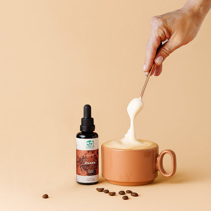 Bio Chaga Tinktur – Kraftvoll durch den Tag