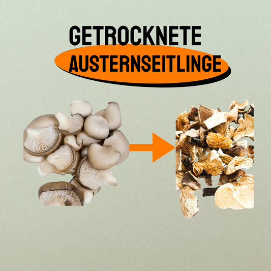 Fungi Feeds Austernpilze (getrocknet, Fruchtkörper)