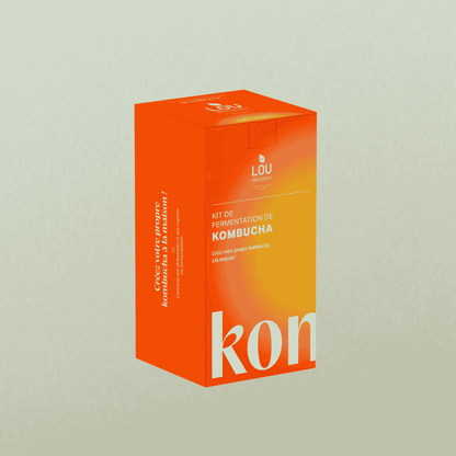 Dein Kombucha‑Kit für Zuhause
