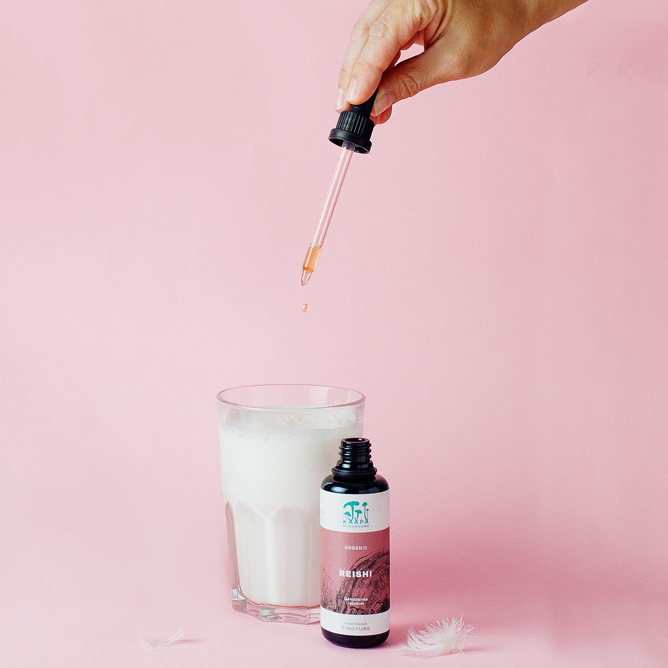 Bio Reishi Tinktur – Balance in jedem Tropfen